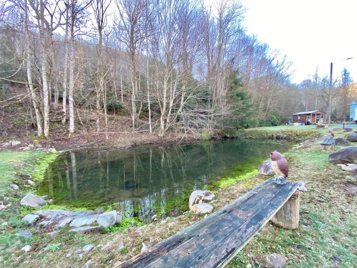 Maggie Valley Cabin Rentals Extérieur photo